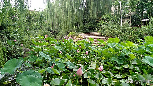 中国天然氧吧之城郑州,郑州周边森林氧吧