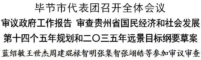 贵州毕节代表团发言,毕节市第三次代表大会收看情况