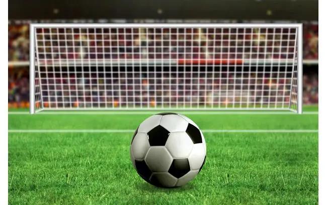 福建省足球示范校,南京市足球后备人才示范学校