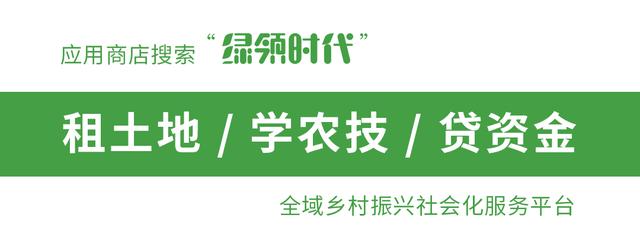 农民自己开荒土地怎样确权,农民土地确权可以种植什么