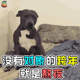 德国留学真的不建议去吗,关于留学你还想知道什么