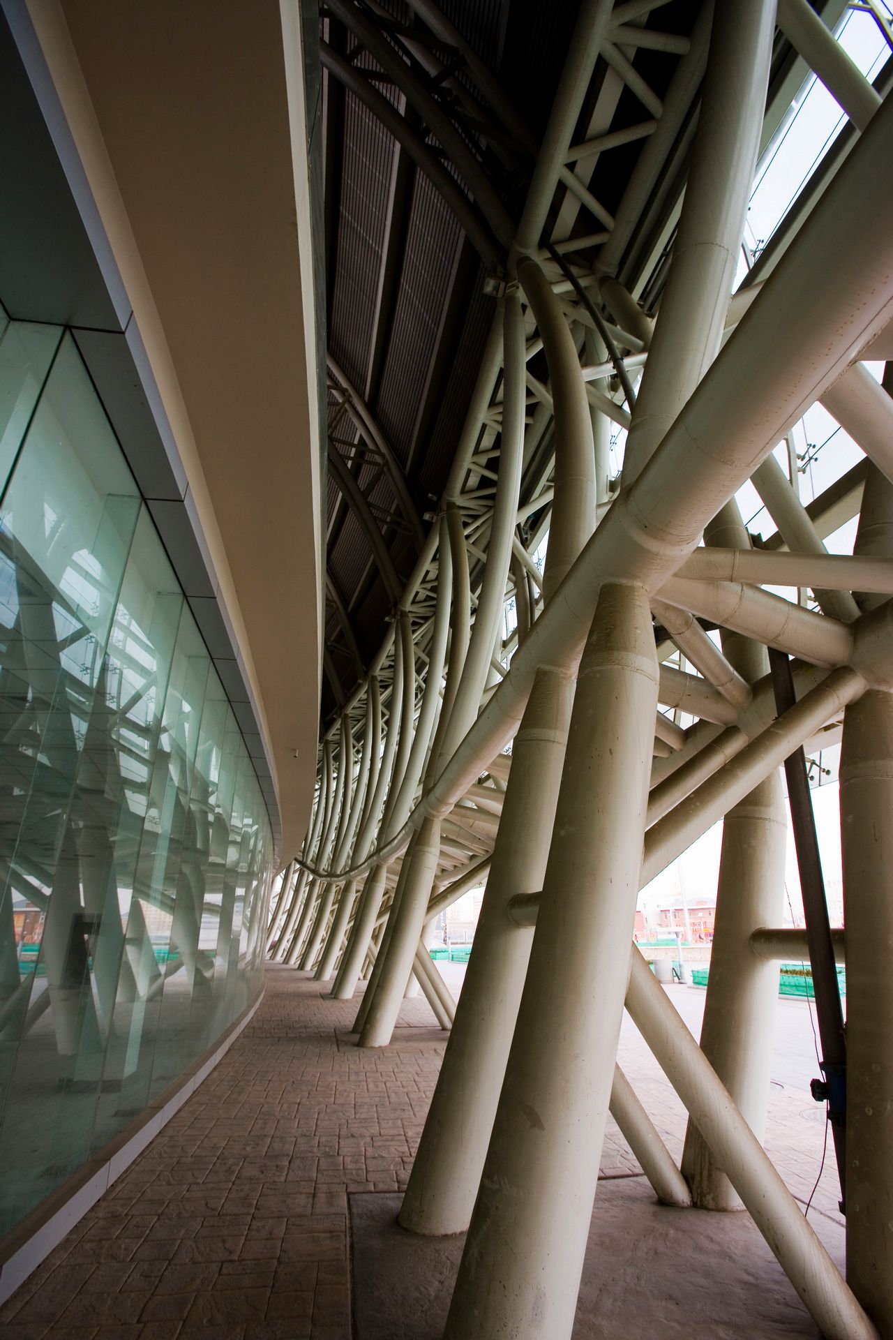 周末带着我的小元，去了天津的奥林匹克中心溜达