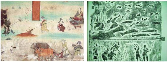 「发掘：猫史」是谁撸了中国的第一只猫？