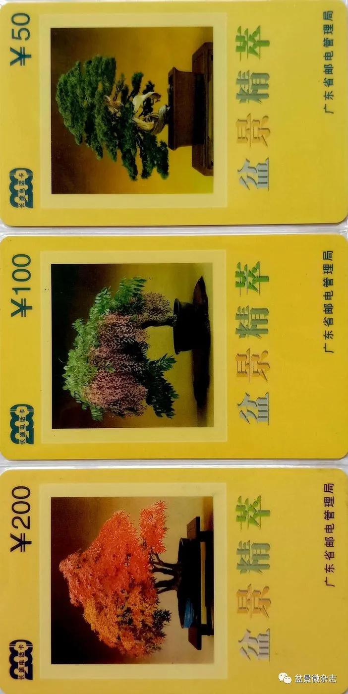 鐩嗘櫙鑱旂郴鐢佃瘽,鐩嗘櫙鑱旂郴鐢佃瘽鍙风爜