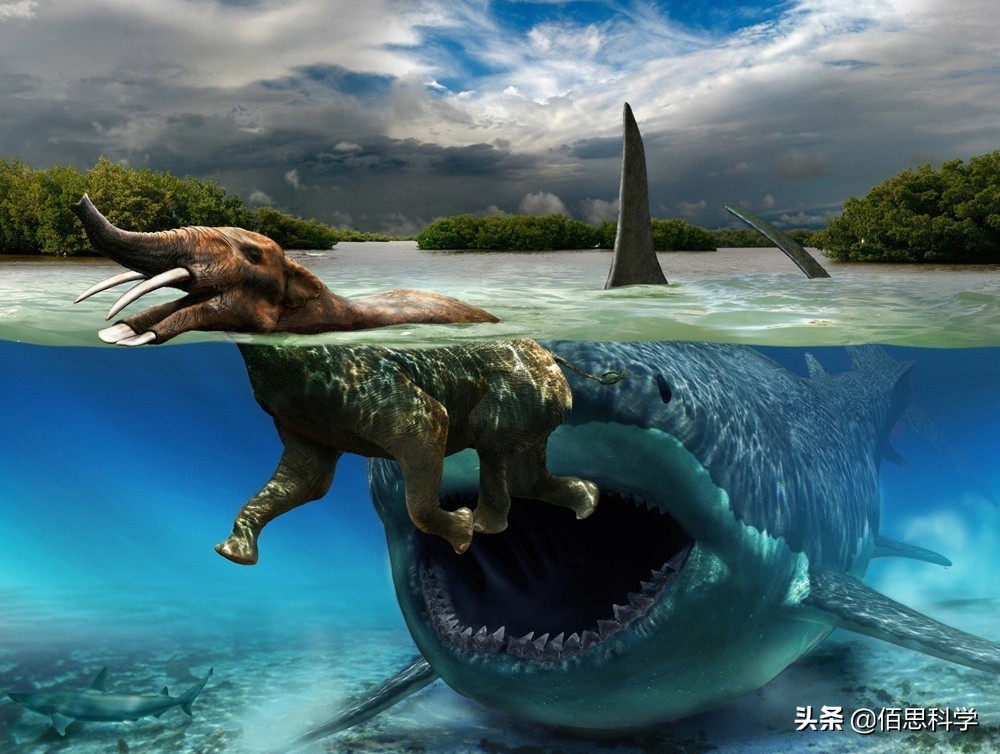 乌合麒麟给孟晚舟画的画图片,乌合麒麟孟晚舟作品解读