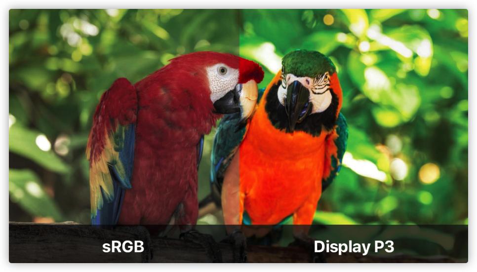 2021电脑显示器选购终极指北618特别篇