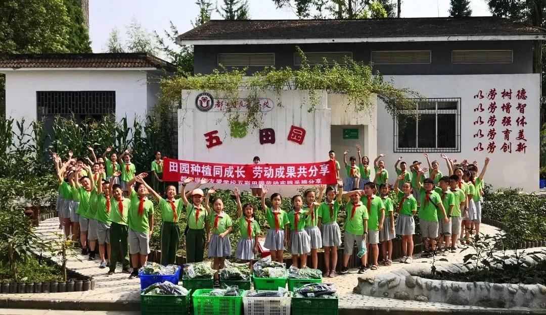 共建文明校园践行文明行为,共建文明中学生应该怎么做