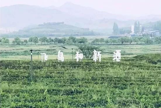 “土气”的休闲农业，正成为高端品牌争抢的“联姻”对象