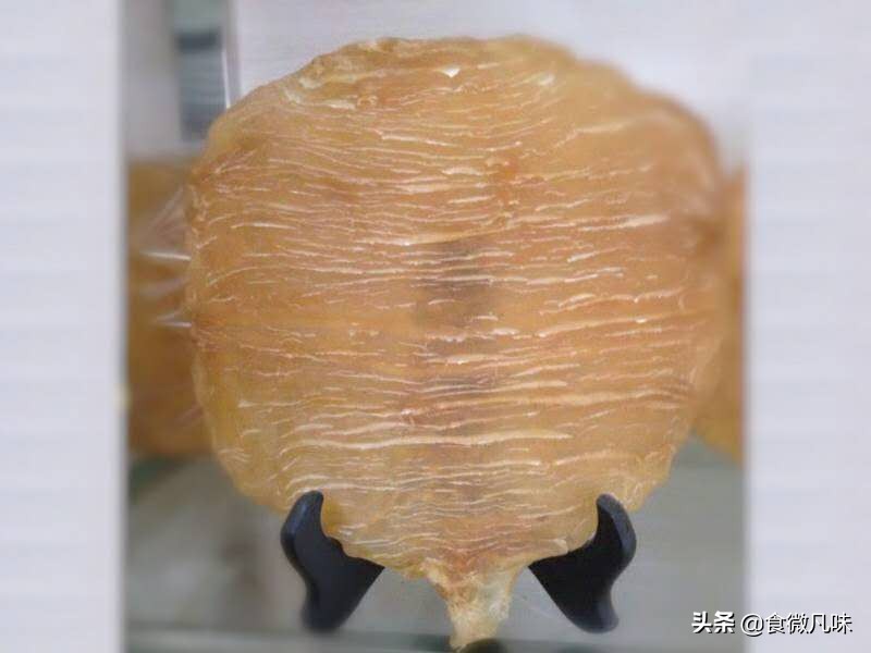 好吃的鱼胶推荐,有什么鱼胶吃起来爽口的