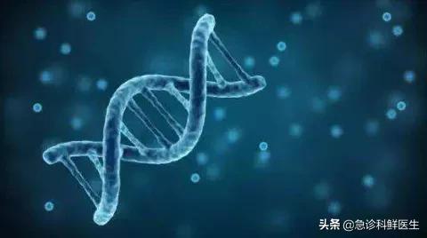 辅酶Q10对心脏都有哪些好处,辅酶q10到底对心脏有什么作用