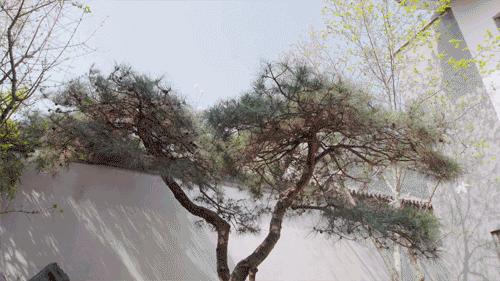 她买下别人挑剩的渣户型，花10年任性改造，浴缸像床那么大