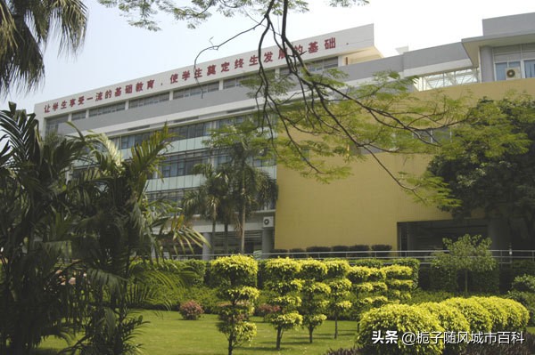 广州市十大公办小学排名榜,广州公办十大排名学校