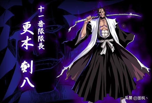 死神护庭十三番队详细介绍,死神护庭十三队长