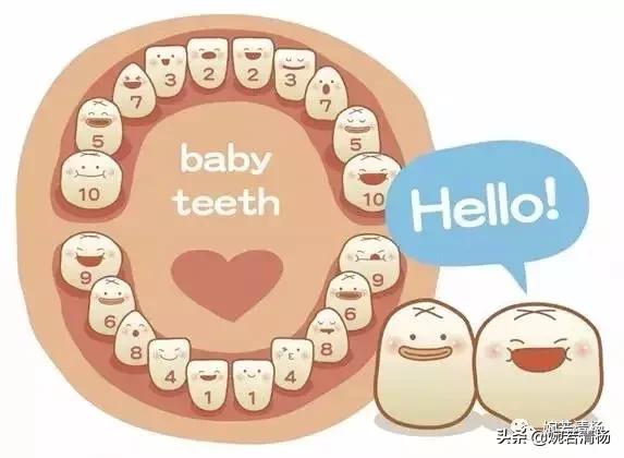 孩子掉第一颗牙怎么去引导,记录宝贝掉的第一颗小乳牙