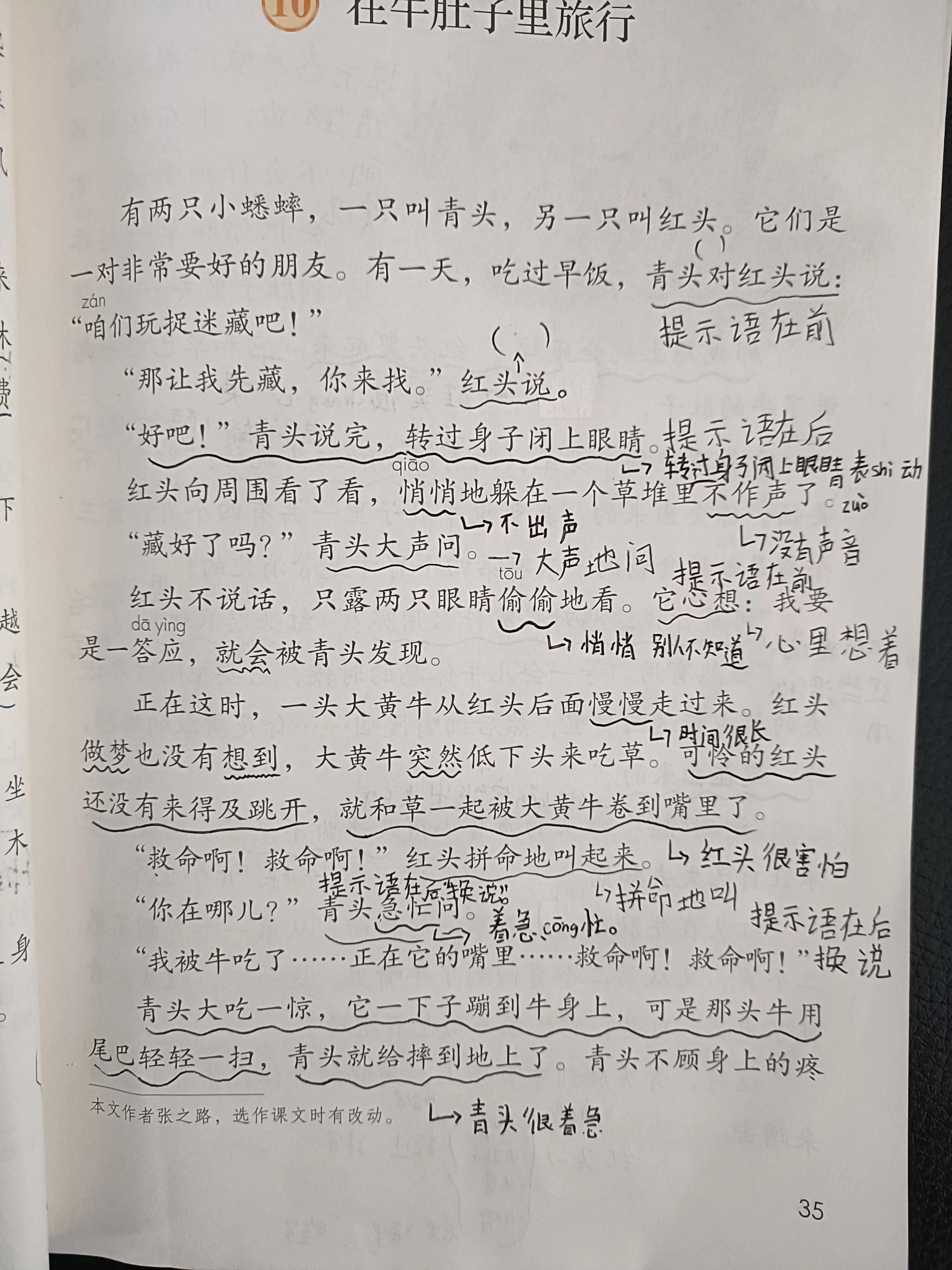 在牛肚子里旅行的提示语有哪些,提示语在中有什么作用