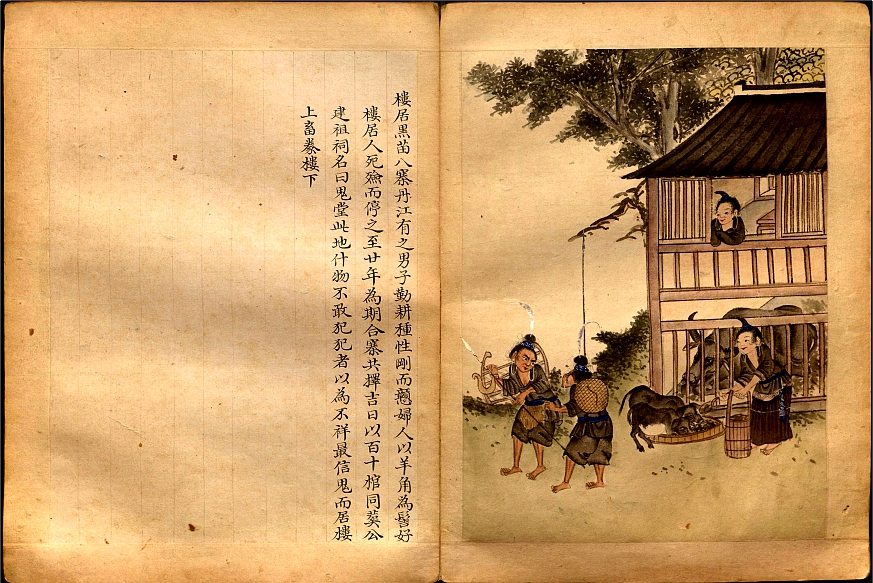 苗族巫蛊之术全集,苗族巫蛊术的真相