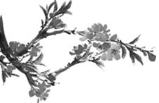 乡愁里的广东,苏东坡惠州文化