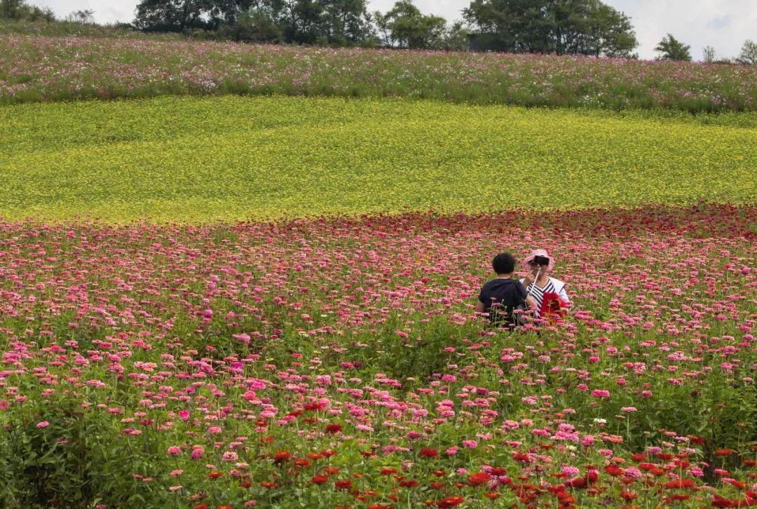 东北三省最适合宜居的城市,东北三省宜居养老城市