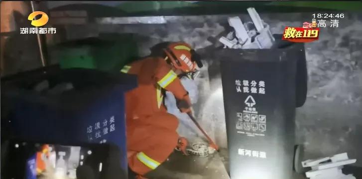 常年在垃圾桶旁边的蛇,垃圾桶里面有一条大蟒蛇