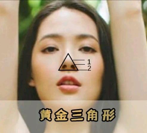 好看鼻子的七个标准，增添颜值还有辨识度，看你中了几条？