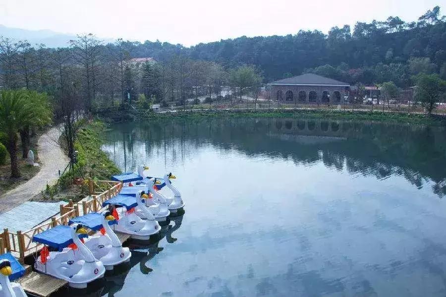 清远七天玩乐,清远一日游最佳景点一览表最新