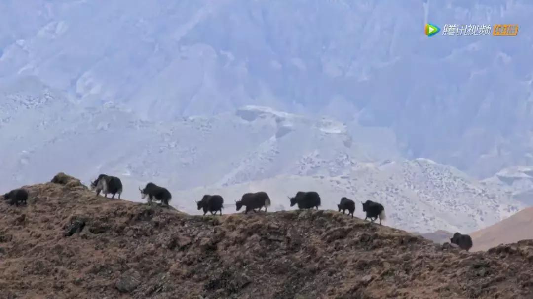 人在逆境要懂得坚持,面对逆境向阳而生