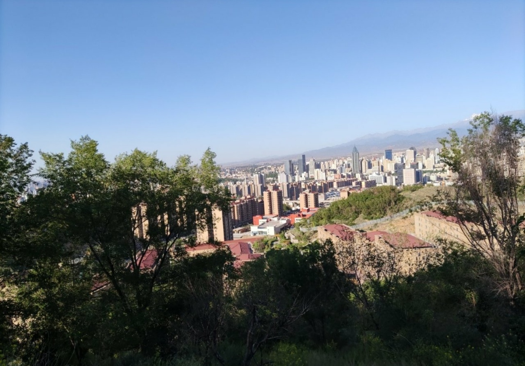 乌鲁木齐十大著名山景房楼盘，有你家吗？