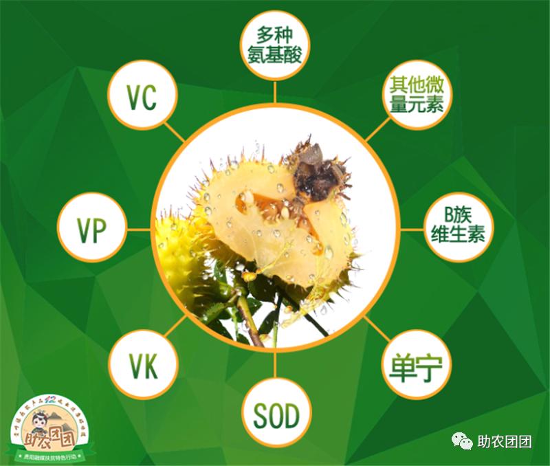 刺梨功能营养饮料,助农团团营养餐