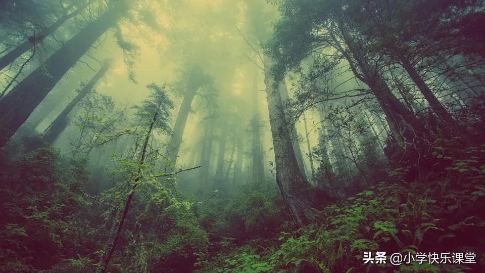 那一次我真半命题作文范文,那一次我真什么优秀作文