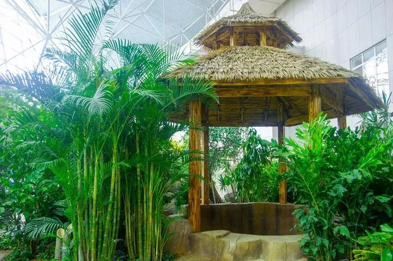 北戴河菲奢尔度假酒店,北戴河渔岛菲奢尔温泉酒店