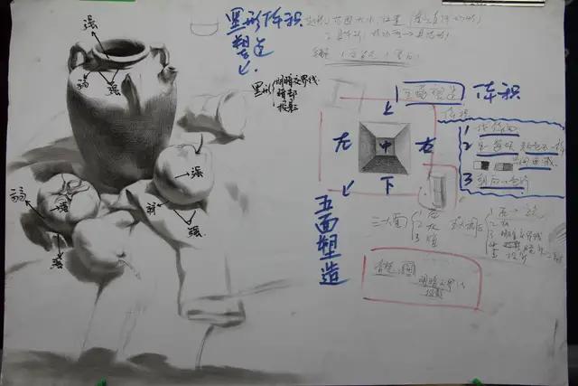 艺考静物素描考什么,艺考美术静物素描考题