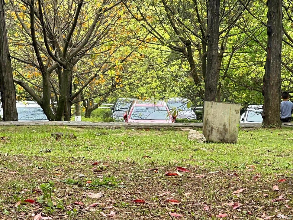 成都凤凰山公园可以爬山吗,成都凤凰山公园有什么好玩的