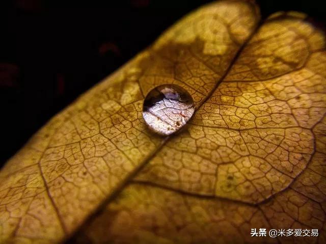 期货投资经验感悟,期货实战感悟