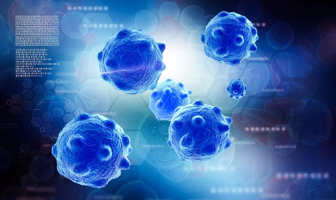 甲减不用愁，干细胞有望修复甲状腺功能