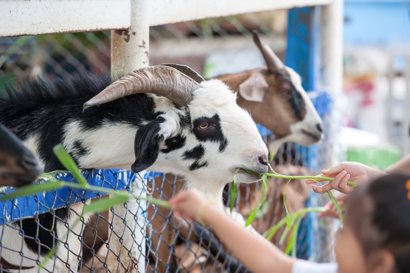 最新的新冠疫情症状,面对新冠疫情我们应该注意哪些