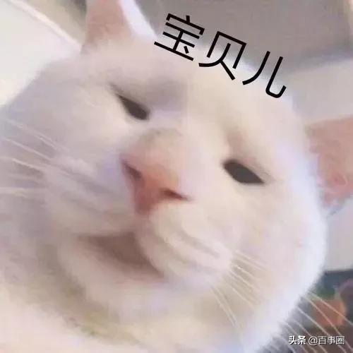 广州十一区最新房价,广州房价9万一套房