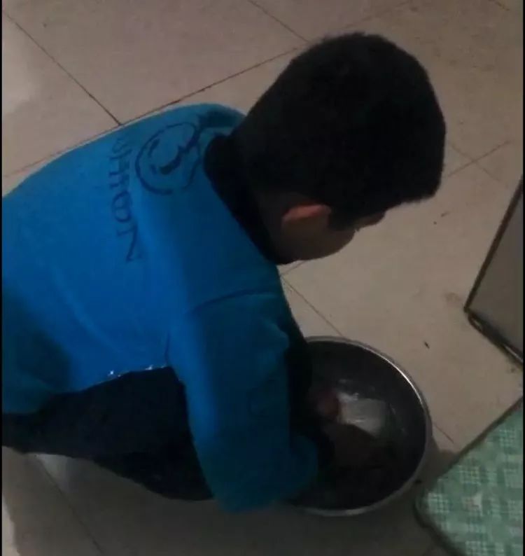 值日小能手教学视频,值日生小能手背景图