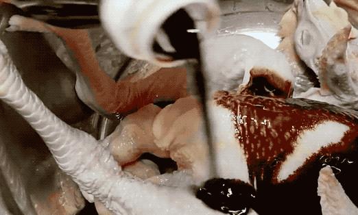 老公把整只鸡塞进电饭锅里,居然一点水都不放,出锅后口水都流了