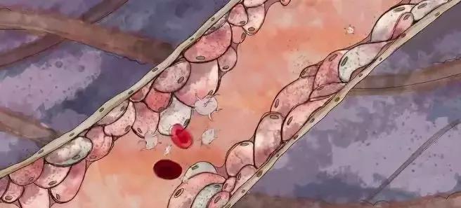 戒不戒烟对孩子有影响吗,不要因为自己而害了孩子