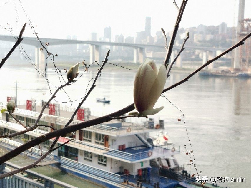 重庆桥都山城,重庆桥都之城
