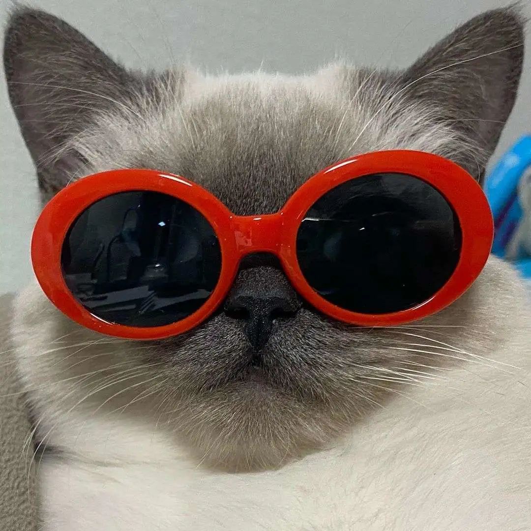 煤老板爆红完整版,煤老板ins