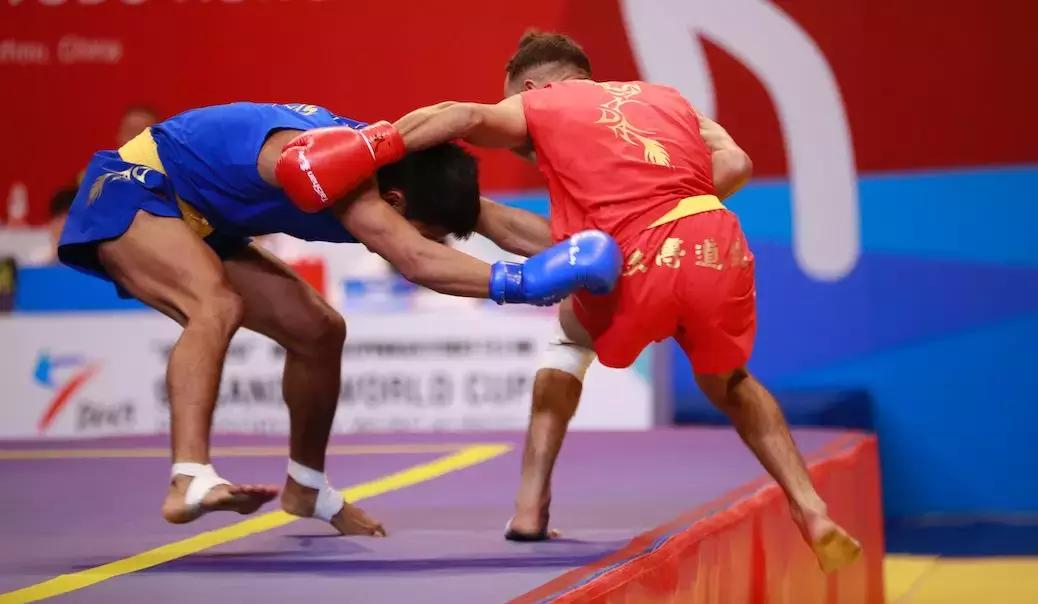 散打擂台战术,武术散打的基本技术