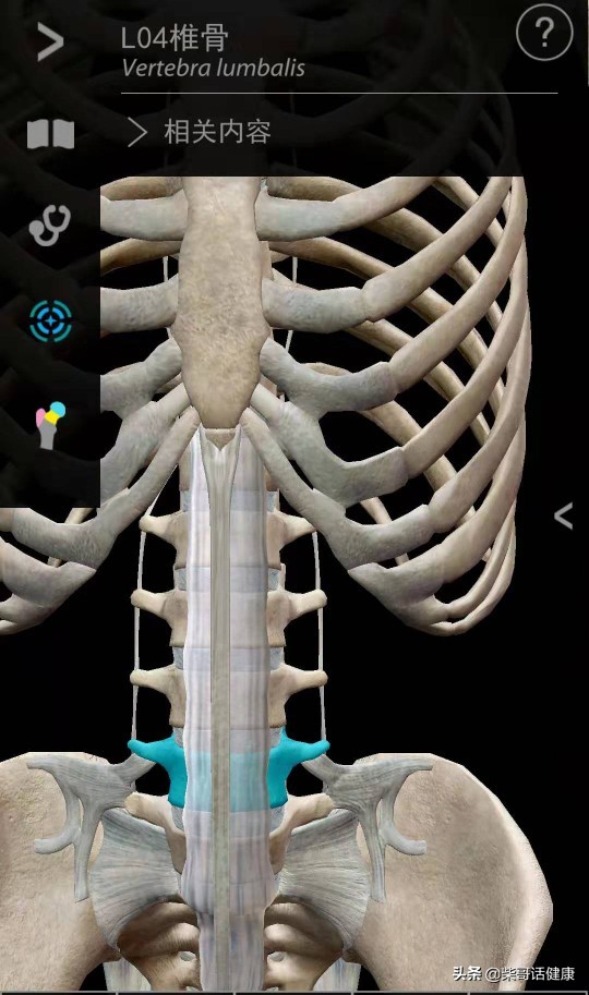 用3D来脊柱体表定位简单多了