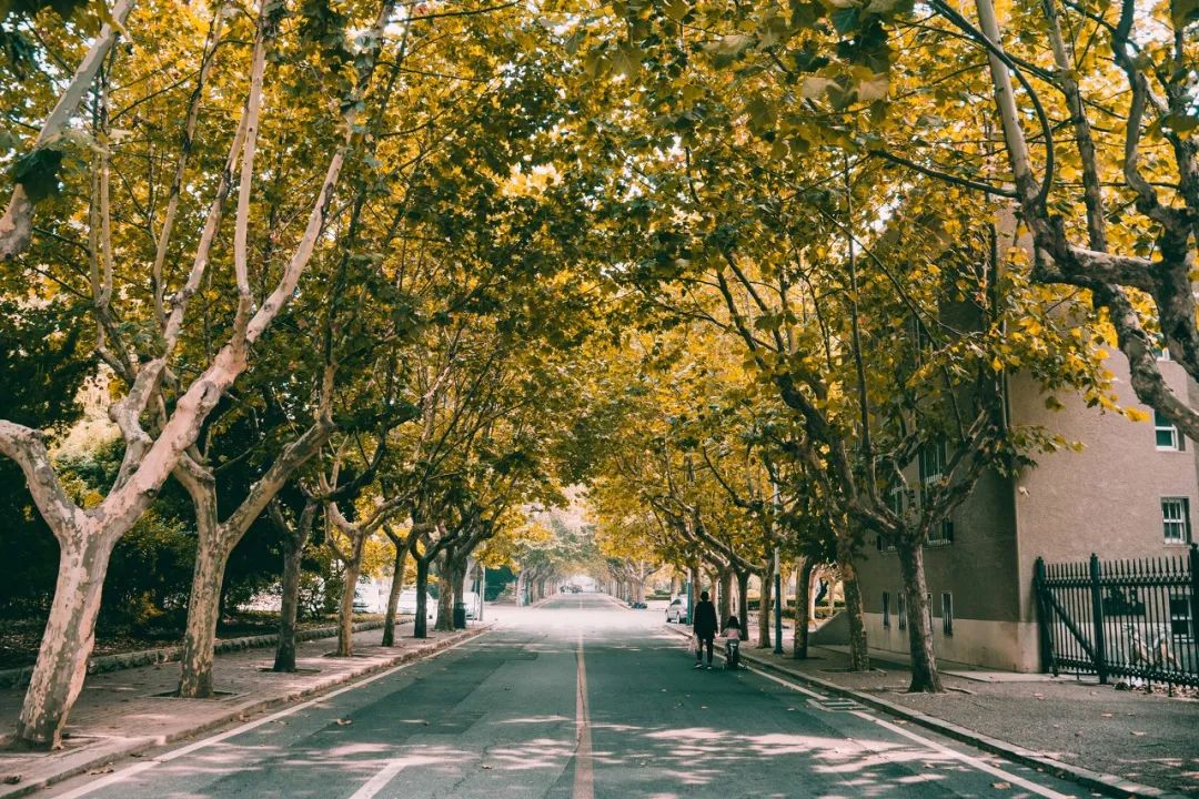 突然就想去成都了,突然想去青岛了