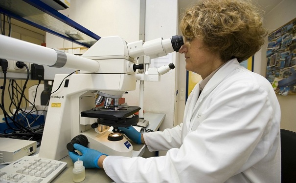 2017年镇江市科技计划项目申报,常熟市申报科研项目怎么选