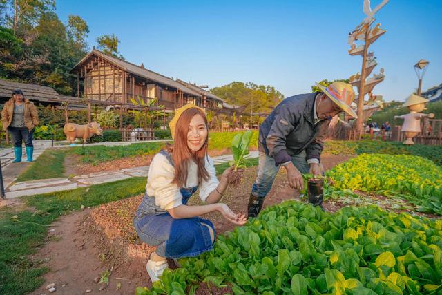 深圳民国风打卡景点,深圳安静的旅游小镇