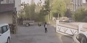 养了8年的金毛突然发狂咬人,养了8年的狗突然发狂咬主人