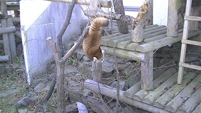 在香港隔离怎么点外卖,如何在香港点外卖最便宜