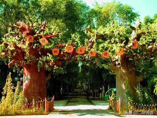 全新疆旅游景点有哪些,新疆带沟的旅游景点