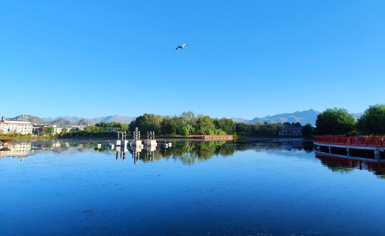 准高一新生开学必备电子产品清单,儿童开学必备装备清单